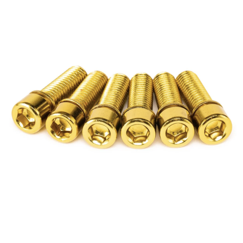 SALT SOLID stem bolt set, Gold (X6 bolts)